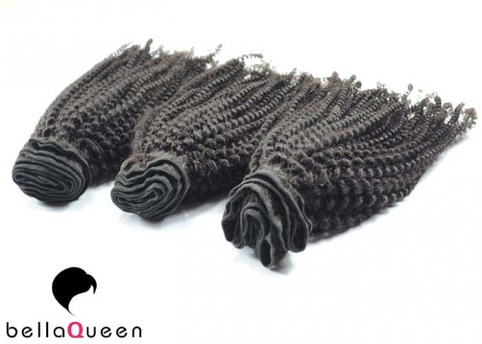 Парик 24inch человеческих волос шнурка Glueless Kinky курчавых людских естественных волос Silk верхний полный