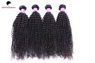 Китай Глубокие курчавые бирманские волосы 6A связывают выдвижения черных человеческих волос девственницы естественные компания
