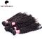 Курчавые малайзийские волосы девственницы 6A, 10 дюймов - выдвижение человеческих волос 30 дюймов поставщик